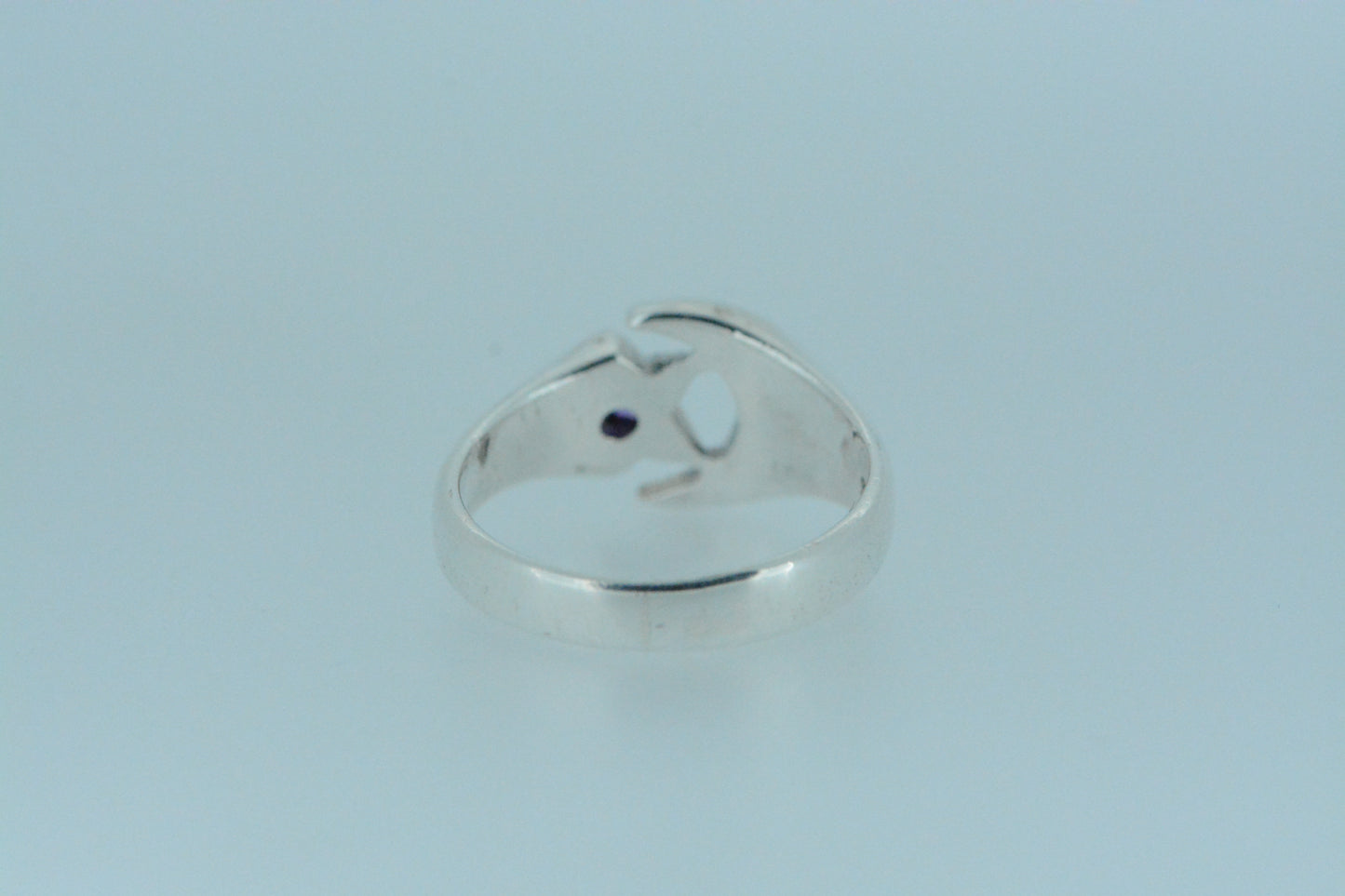 Crescent Moon & Amethyst Star Ring