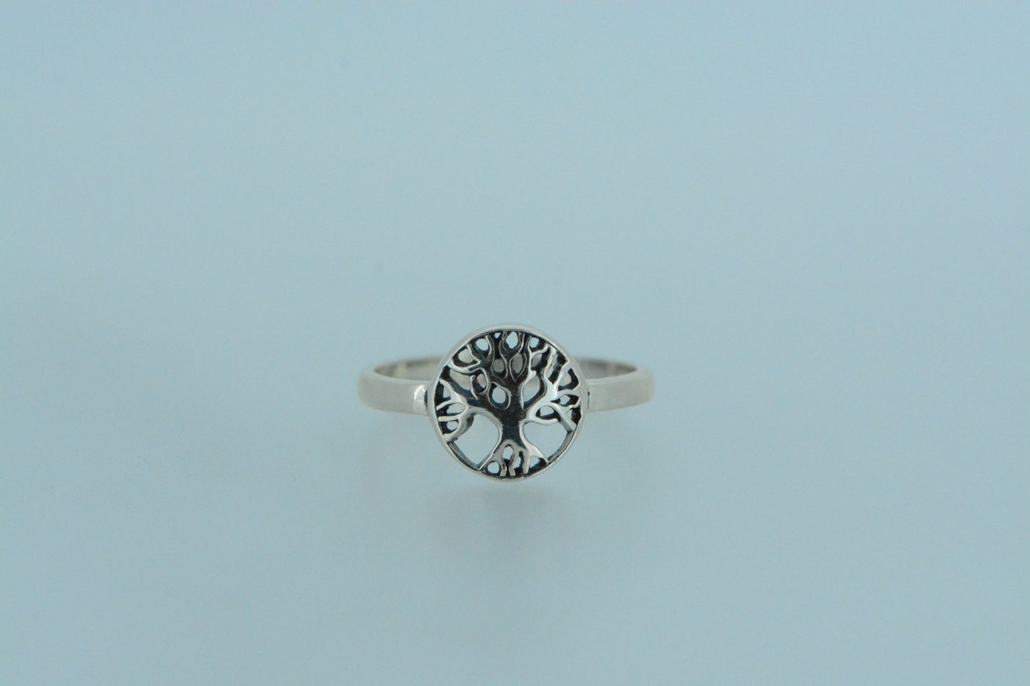 Small Tree In Circle Ring