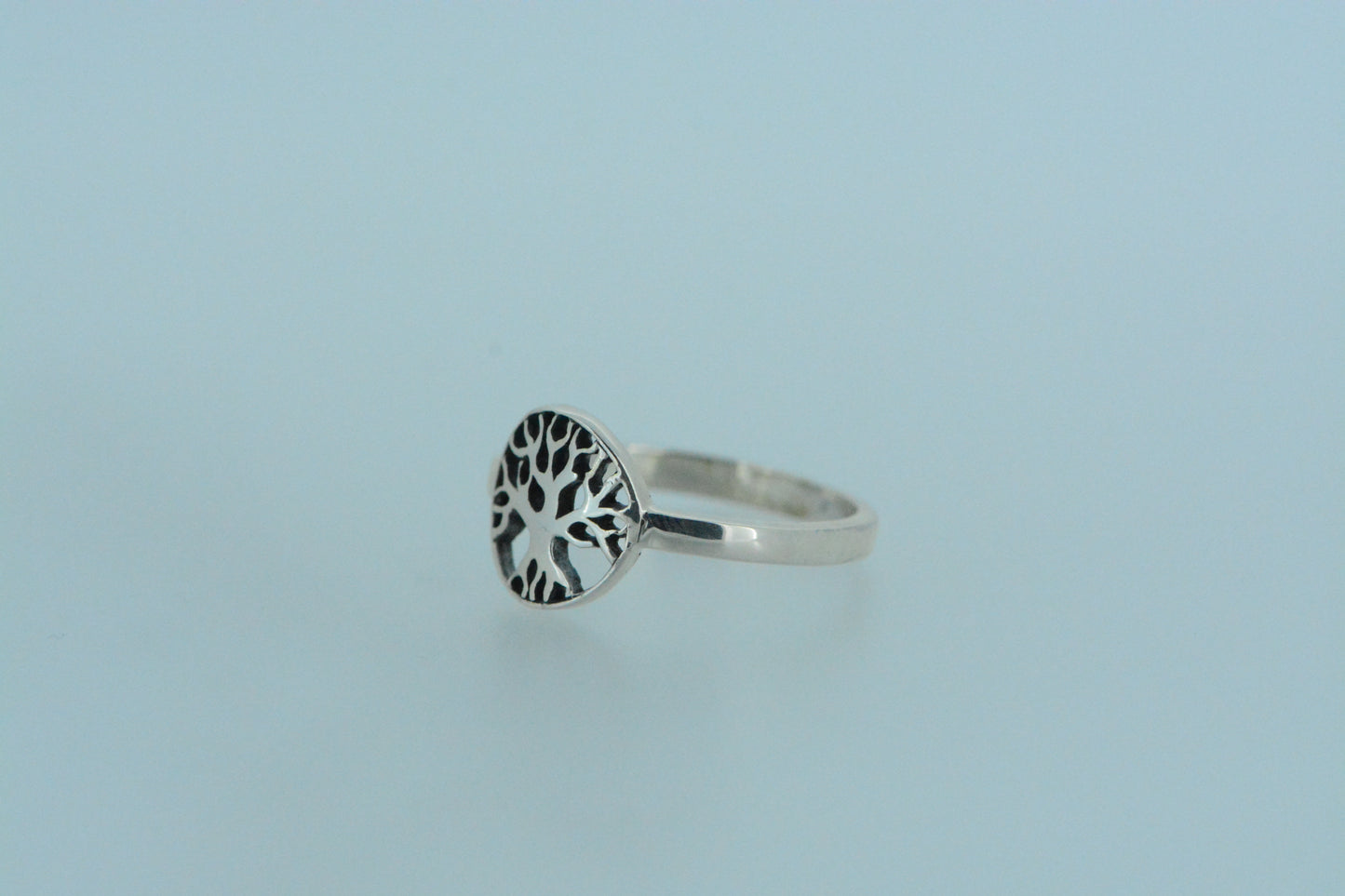 Small Tree In Circle Ring