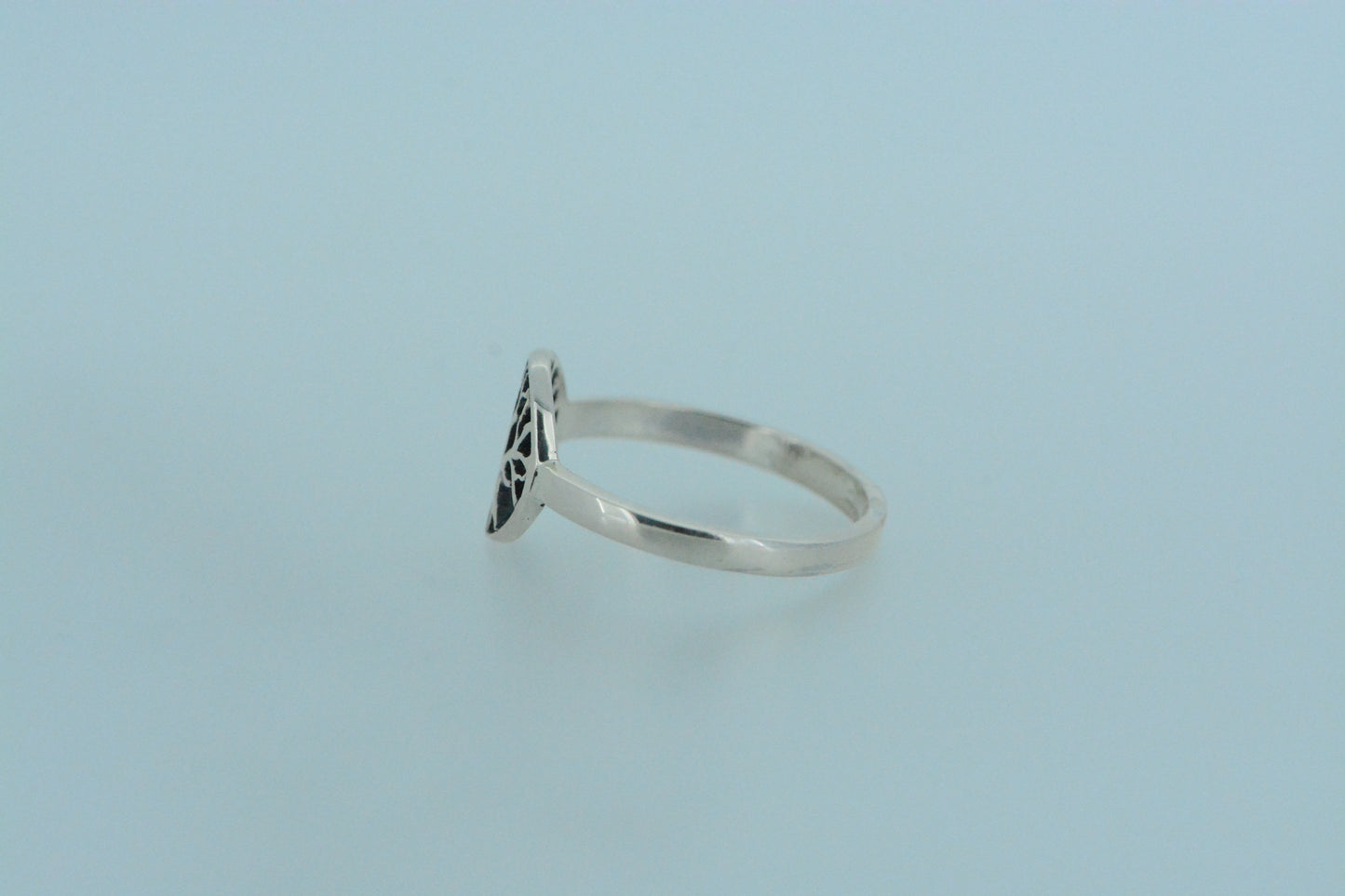Small Tree In Circle Ring